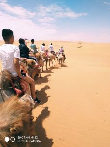 腾格里沙漠-阿拉善左旗-尼唛