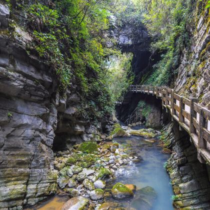 重庆+武隆区5日4晚私家团