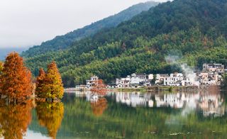 11月去旅行，国内这些秋景哪个最让你心动？