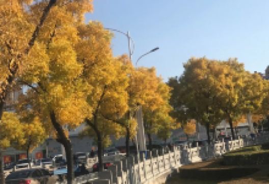 和田胡杨林景点图片