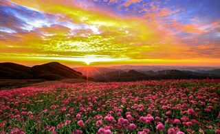 贵州好山水——你不知道的绝美风景