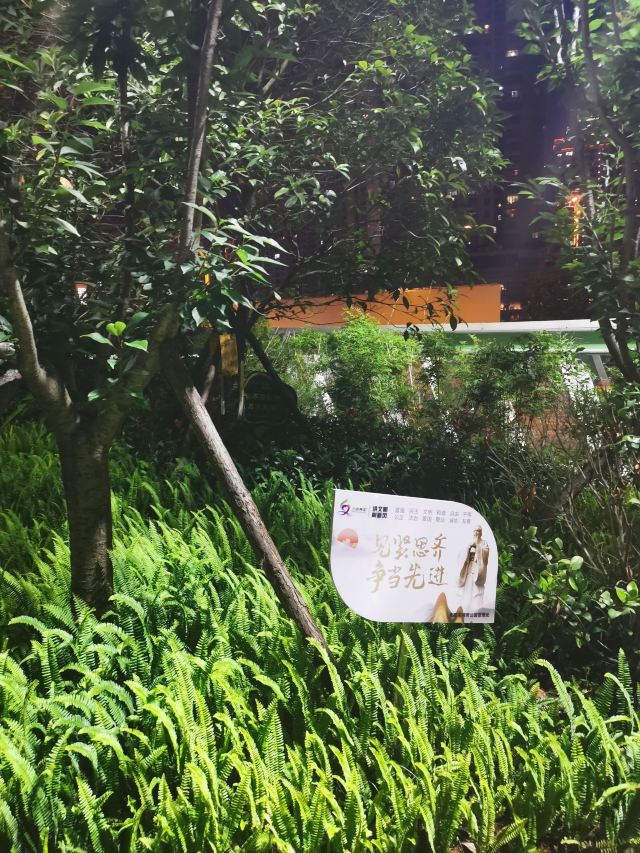 河滨公园旅行图片 3