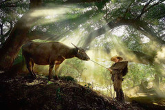 苍南游记图片] 藏于浙江苍南的摄影小镇，大咖纷至沓来，景色旖旎，不收门票