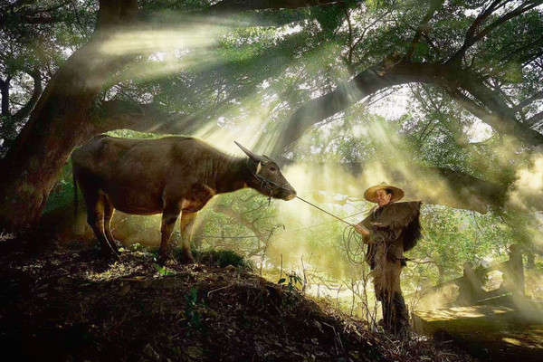 藏于浙江苍南的摄影小镇,大咖纷至沓来,景色旖旎,不收门票