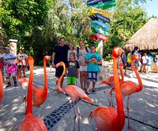 墨西哥最大生态主题公园 | 坎昆西卡莱特公园旅游景点大全