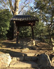 京都御所-京都-小凌60