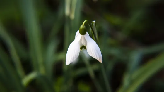 沈家門漁港小鎮-青龍山公園