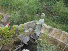 观音山森林公园-宣汉-滇国剑客