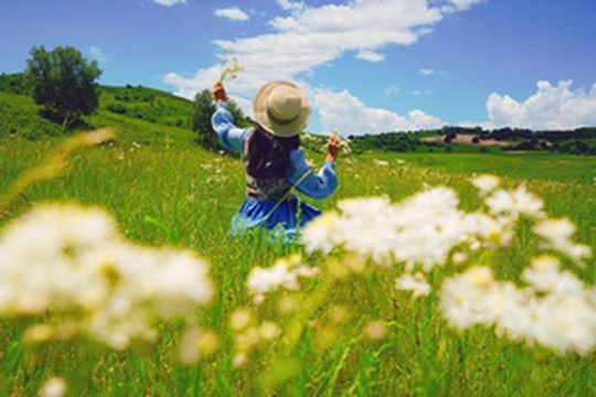 乌兰布统游记图文-北京人避暑去哪儿？汗苏鲁，一个你没听到过的地方