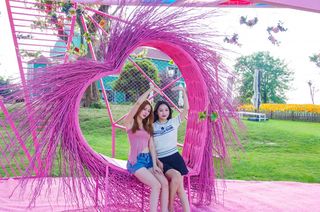 距上海仅2小时车程的花海，百合花开好浪漫，江苏最美网红打卡地