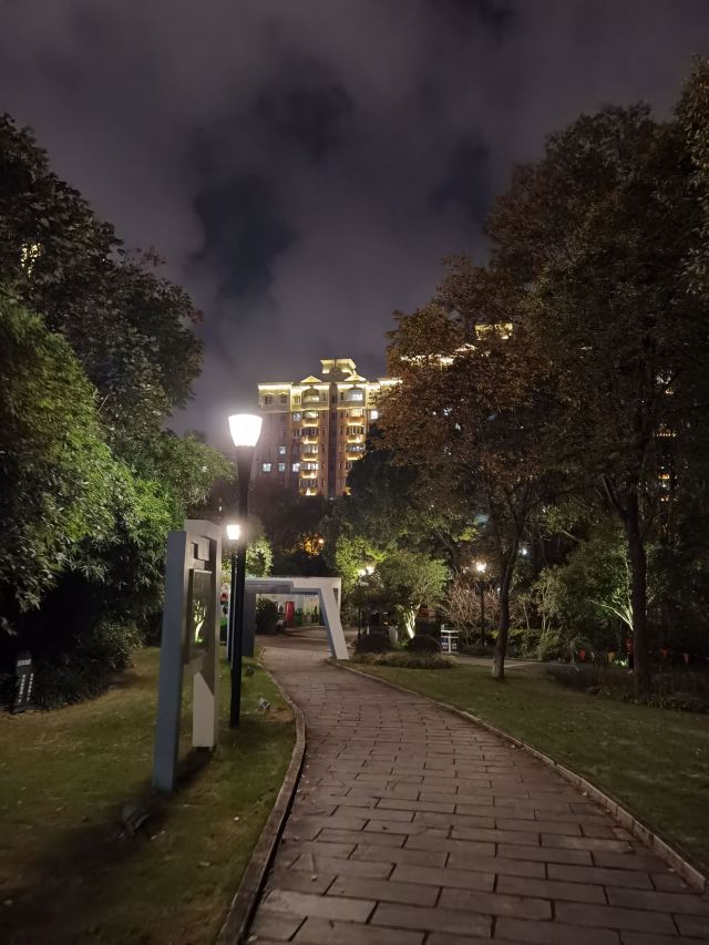莘庄公园旅行图片 3