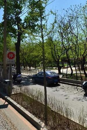 皂角园旅行图片 4