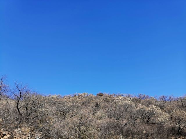 玫瑰谷旅行图片 14