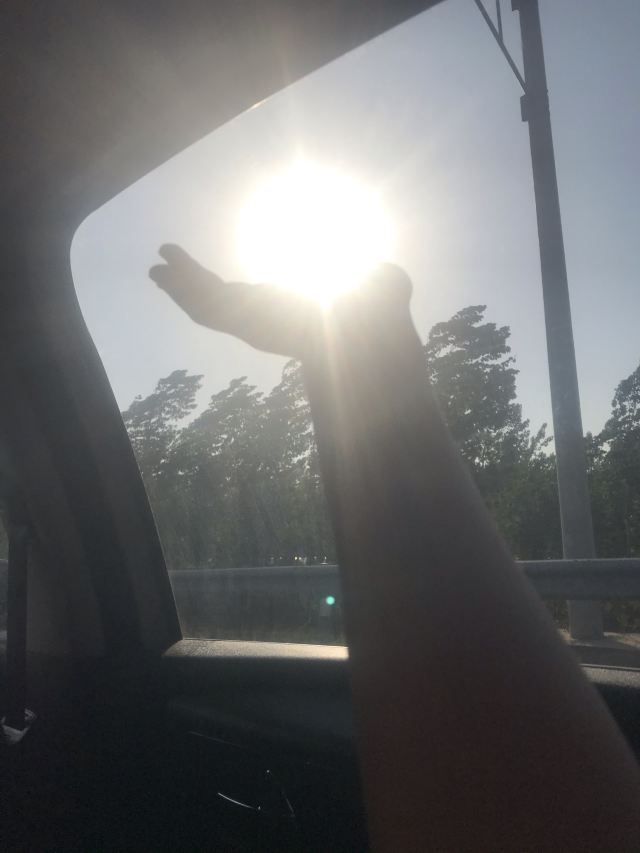 玉渊潭公园钓鱼台银杏大道旅行图片 2