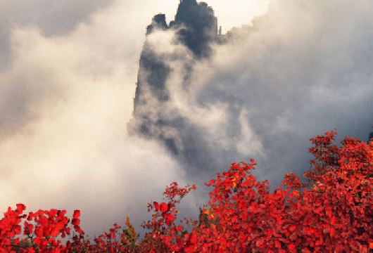 重庆巫峡·神女景区一日游【神女天路全景/全程专车服务】【1.[服务保障]自营，2-6人精品VIP小团，根据出行人数安排车型，车辆定期消毒放心乘坐】