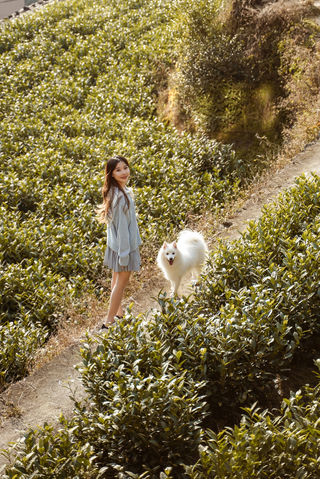 松阳旅行｜探寻隐藏在山林秘境里的古村落