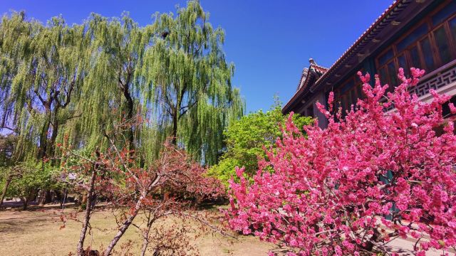醇亲王府旅行图片 3