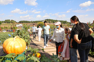 四川周边游  四川遂宁安居区