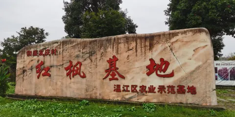 溫江紅楓基地