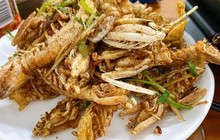 叶姐海鲜(棋子湾店)餐厅图片