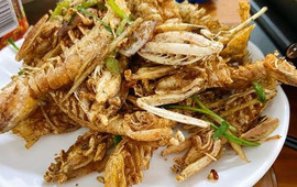 叶姐海鲜(棋子湾店)