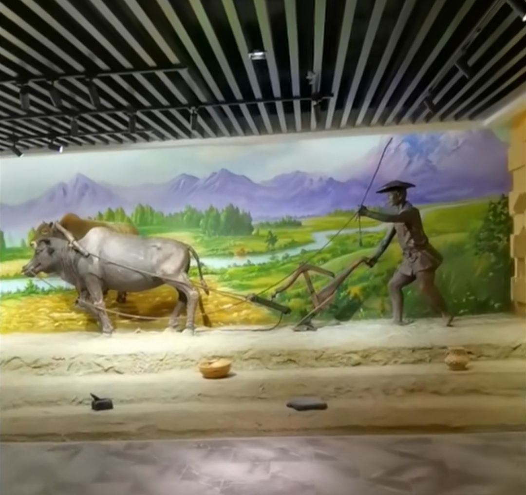 3-Day Haidong Tour: Salar Folk Customs and Qili Flower Sea, Serenity of Beishan Forest