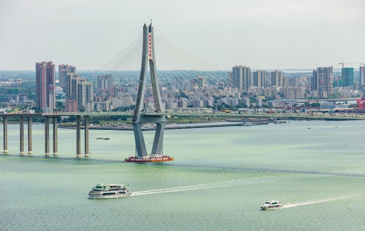 Zhanjiang Black-Headed Gull Boating Trip