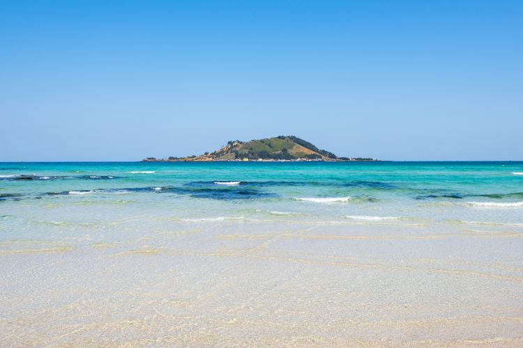 Jeju Island Brief Guide