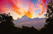 肯尼亚山国家公园-Mount Kenya Forest