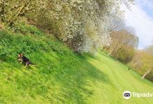 Springhead Park景点图片