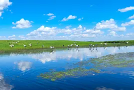 2-Day Qiqihar Tour: Nature Conservation at Zhalong Wetland, Leisure at Longsha Park