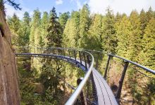 悬崖栈道景点图片