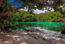 Casa Cenote灰岩坑景点图片