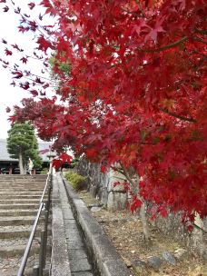 金戒光明寺-京都-东京浪人