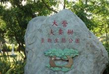 大营夫妻树景观公园景点图片