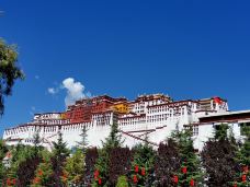 布达拉宫白宫-拉萨-人在旅途✈︎
