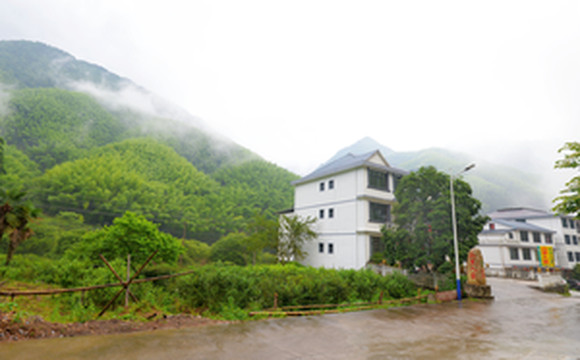 上饶游记图文-【铅山河红茶】江西铅山拍了拍你，北武夷山是避暑、喝茶的好去处