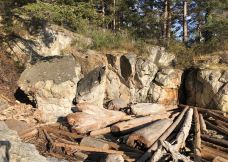 灯塔公园-西温哥华-小小呆60