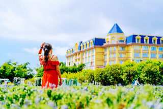 广州南沙,走进“鸟类天堂”的地球之肾,好吃好玩好休闲!