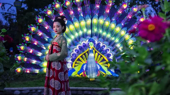 通濟花海露營公園