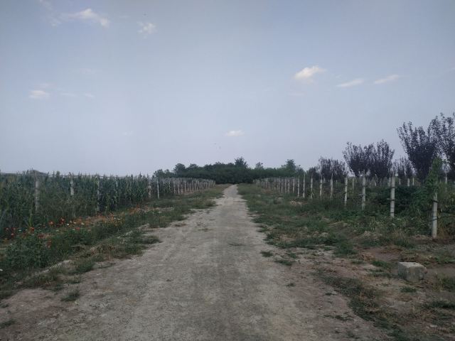姜子牙墓旅行图片 2
