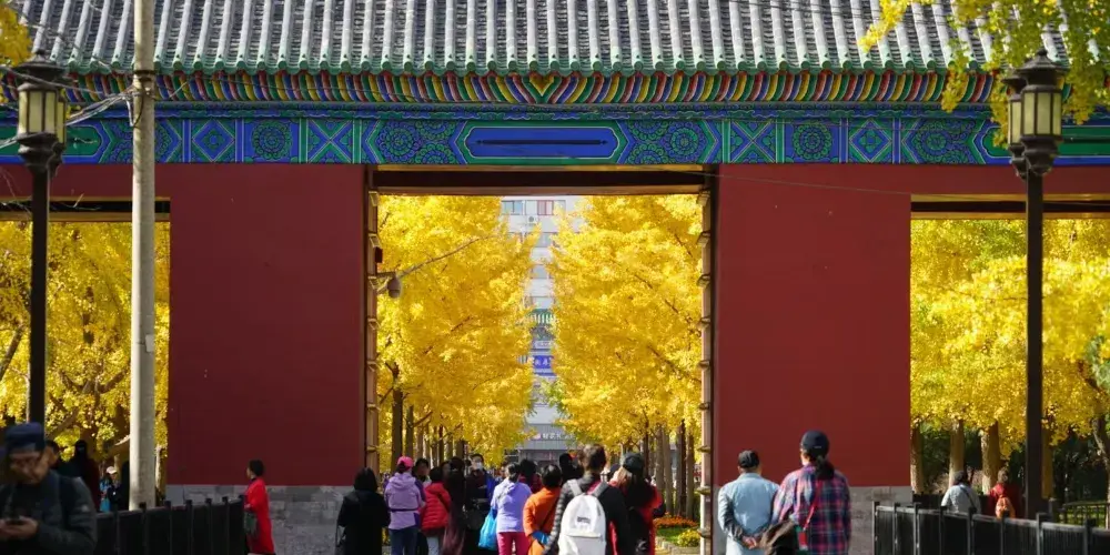 永安旅遊