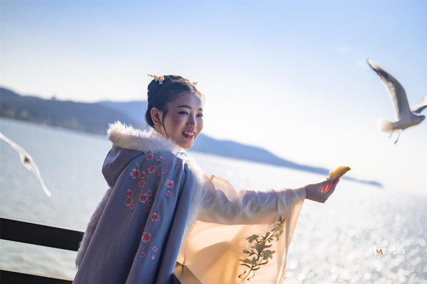 冬游无锡影视基地 ,三国城观鸟、旅拍看表演