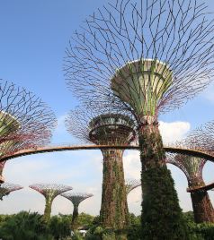 圣淘沙岛游记图文-新加坡人造景观的极限，美翻了！