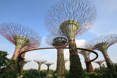 新加坡游记图片] 新加坡人造景观的极限，美翻了！