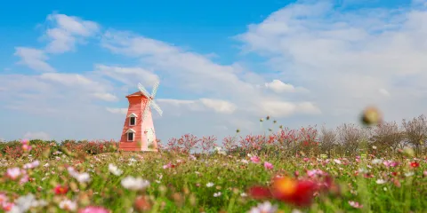 紫溪半島花海世界