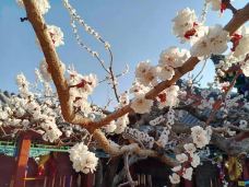 九门口水上长城-绥中-首席监理