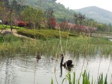 牛首山旅游景区-青铜峡-资深喵