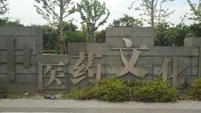 上海中医药博物馆-上海-chenweiwen