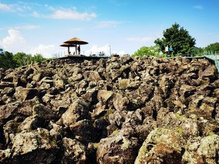 云游四海（1502）黑蒙行之二——龙门石寨